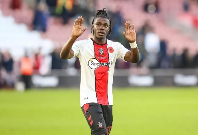 虐茎