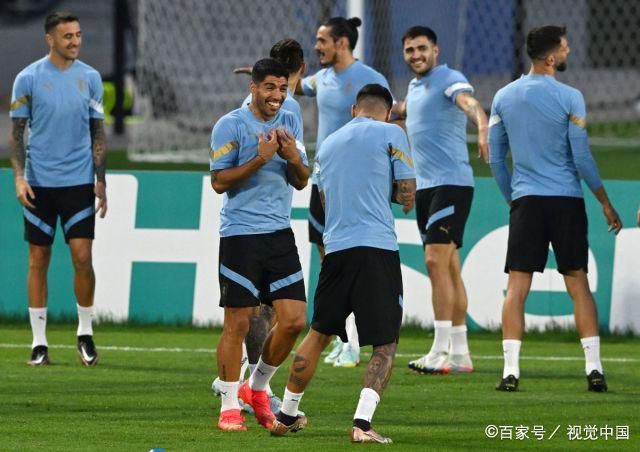 91视频合集