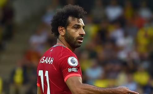 李恩美的大乳房