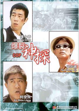 宠物女