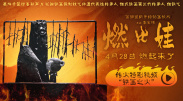 成年人视频免费在线观看