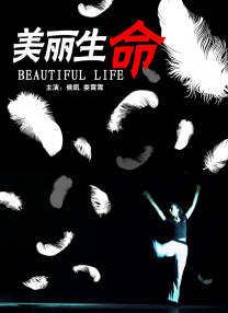 午夜视频免费在线观看