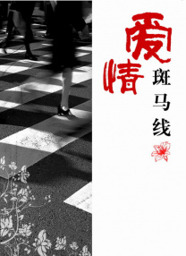 国产精品mv在线观看