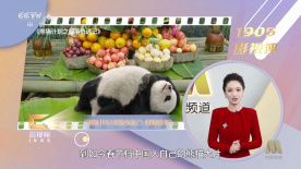 后妈2